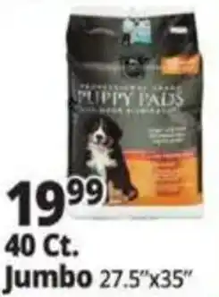Ocean State Job Lot Professional Grade Puppy Pads offer