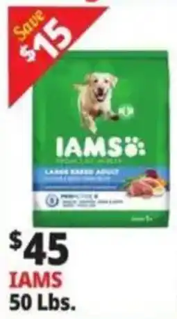 Ocean State Job Lot Iams large breed adult offer