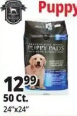 Ocean State Job Lot Professional Pet Puppy Pads offer