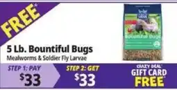Ocean State Job Lot Bountiful Bugs Mealworms & Soldier Fly Larvae offer
