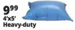 Ocean State Job Lot Heavy-duty pillow offer