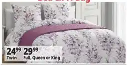 Ocean State Job Lot Bed in A Bag offer