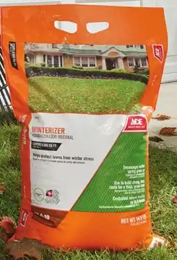 Ace Hardware Ace Winterizer offer