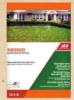 Ace Hardware Ace Winterizer Lawn Fertilizer offer