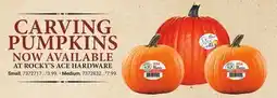 Ace Hardware CARVING PUMPKINS offer