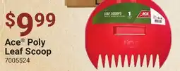 Ace Hardware Ace Poly Leaf Scoop offer