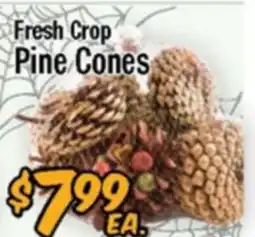Western Beef Fresh Crop Pine Cones offer