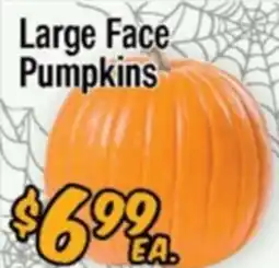 Western Beef Large Face Pumpkins offer