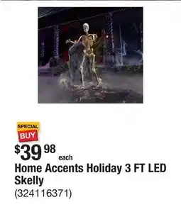 The Home Depot Home Accents Holiday 3 FT LED Skelly offer