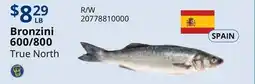 Restaurant Depot Bronzini 600/800 offer