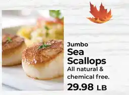 Sunset Foods Jumbo Sea Scallops offer