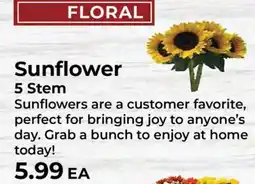 Sunset Foods Sunflower offer