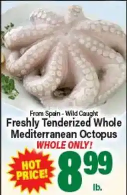 Angelo Caputo's Fresh Market Freshly Tenderized Whole Mediterranean Octopus offer
