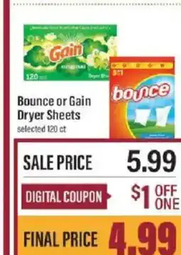 Lowes Foods Bounce or Gain Dryer Sheets offer