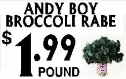 Circus Fruits ANDY BOY BROCCOLI RABE offer