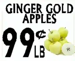 Circus Fruits GINGER GOLD APPLES offer
