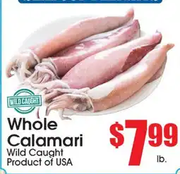 Supremo Foods Inc Whole Calamari offer