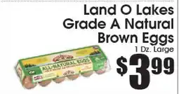 Supremo Foods Inc Land O Lakes Grade A Natural Brown Eggs offer