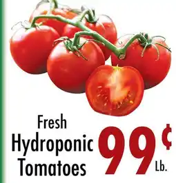 Garden Fresh Market Fresh Hydroponic Tomatoes offer