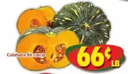 Savers Cost Plus Calabaza de casco offer