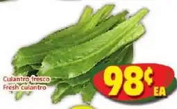 Savers Cost Plus Fresh Cilantro offer