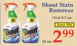 DeMoulas Market Basket Shout Stain Remover offer