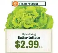 Robert Fresh Market Hydro Living butter lettuce offer