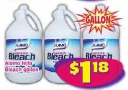 Savers Cost Plus Alamo bleach offer