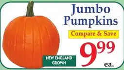 DeMoulas Market Basket Jumbo Pumpkins offer