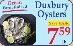 DeMoulas Market Basket Ocean Farm Raised Duxbury Oysters offer