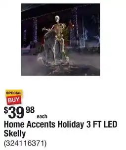 The Home Depot Home Accents Holiday Skelly offer