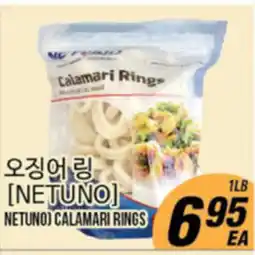 Joong Boo Market [NETUNO] CALAMARI RINGS offer