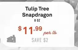 Standard Market Tulip Tree Snapdragon offer