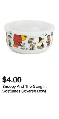 TJ Maxx Snoopy And The Gang In Costumes Covered Bowl offer
