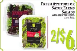 Trade Fair Supermarket Fresh Attitude Or Satur Farms SALADS offer