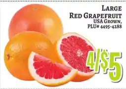 Trade Fair Supermarket LARGE RED GRAPEFRUIT offer