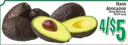 Trade Fair Supermarket HASS AVOCADOS offer
