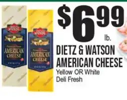 Extra Supermarket DIETZ & WATSON AMERICAN CHEESE offer