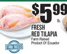 Extra Supermarket FRESH RED TILAPIA offer