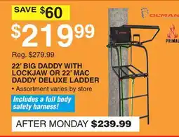 Dunham's Sports 22' BIG DADDY WITH LOCKJAW OR 22' MAC DADDY DELUXE LADDER offer