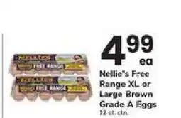 Safeway Nellie's Free Range XL or Large Brown Grade A Eggs offer