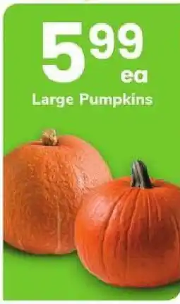 Safeway Large Pumpkins offer