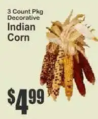 Key Food 3 Count Pkg Decorative Indian Corn offer