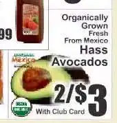 Key Food Hass Avocados offer
