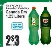 Key Food Canada Dry offer