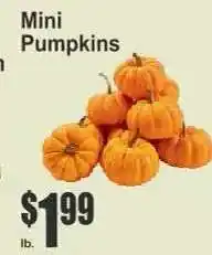 Key Food Mini Pumpkins offer