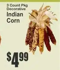 Key Food Indian Corn offer