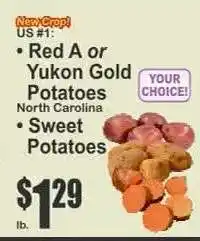 Key Food Red A or Yukon Gold Potatoes offer