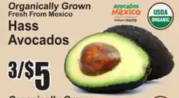SuperFresh Hass Avocados offer