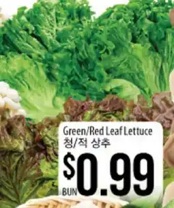 Hmart Green/Red Leaf Lettuce offer